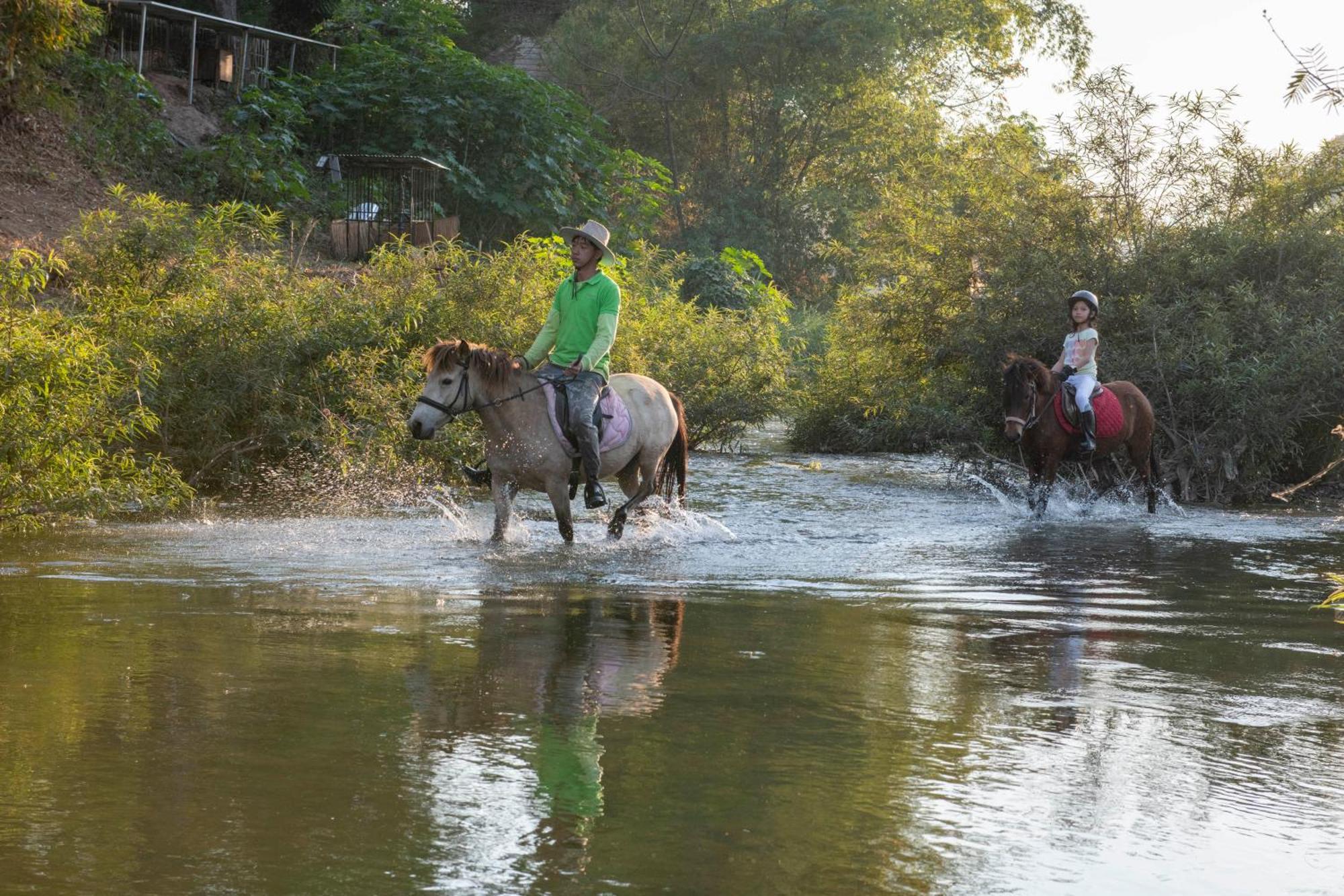 Namkhan Horses Stables لوانغ برابانغ المظهر الخارجي الصورة