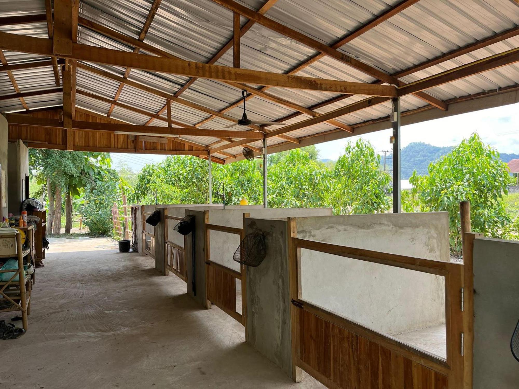 Namkhan Horses Stables لوانغ برابانغ المظهر الخارجي الصورة